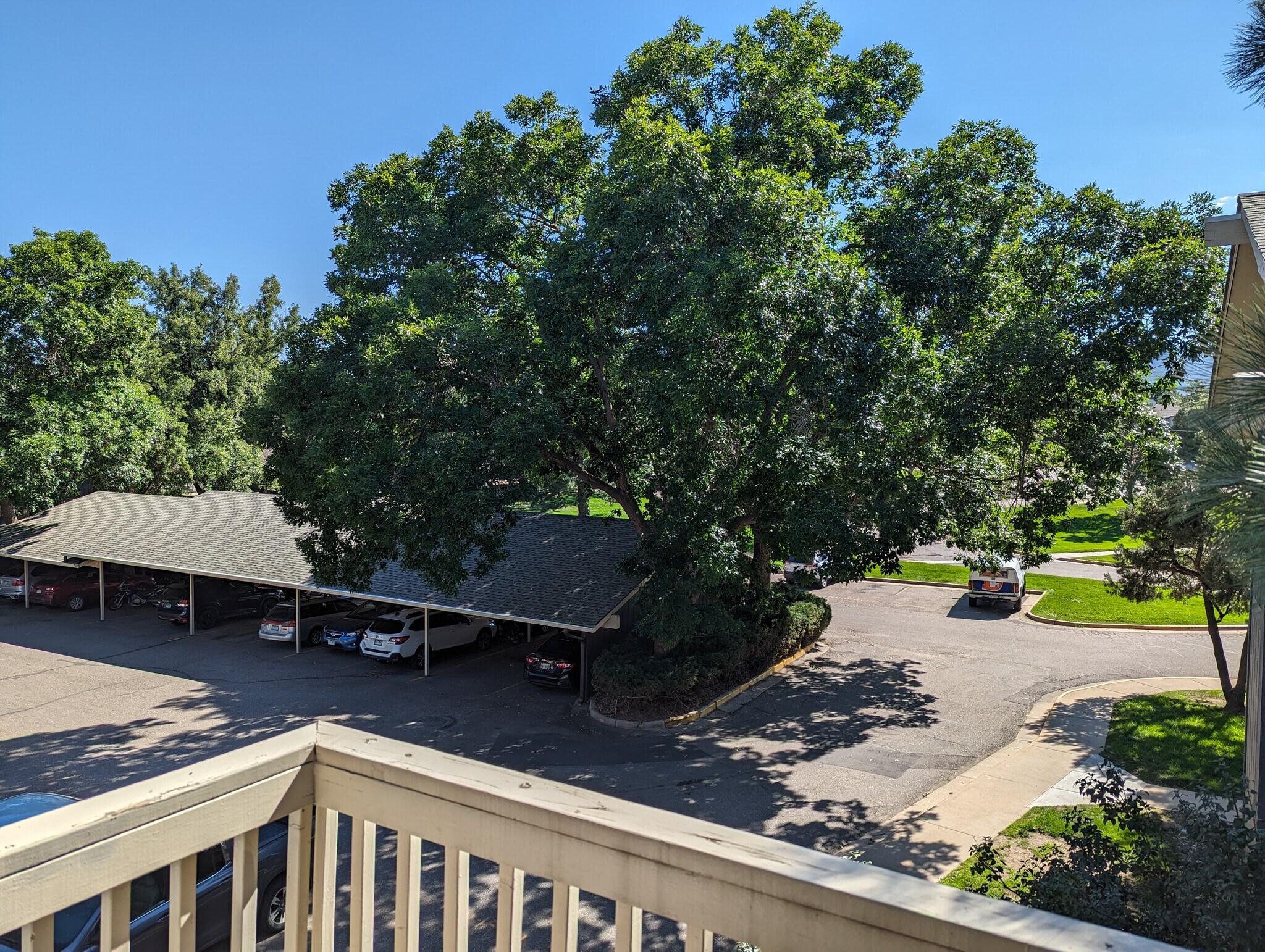View from Balcony - 2800 Kalmia Ave