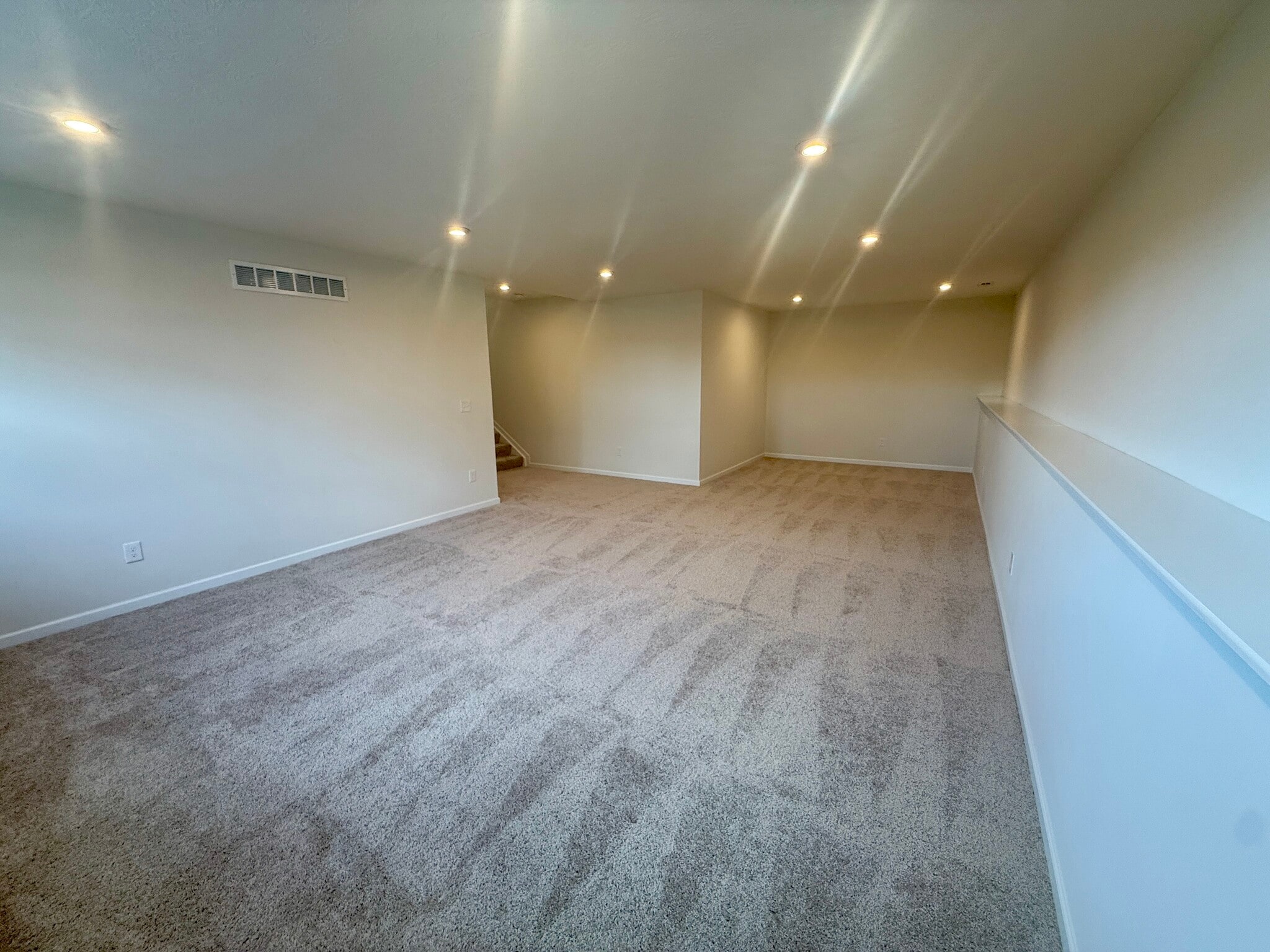 Finished Lower Level - 2062 Broccoli Dr