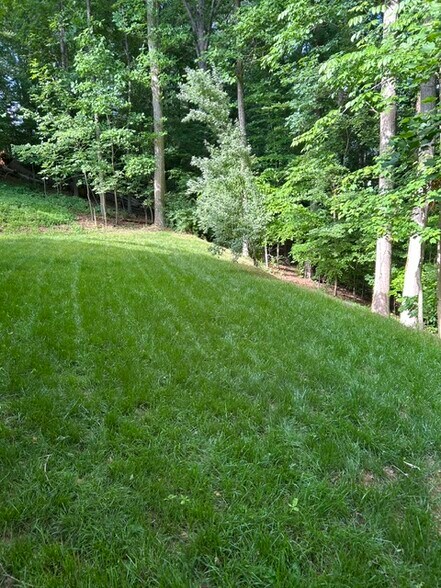 Building Photo - 4906 Wade Valley Way