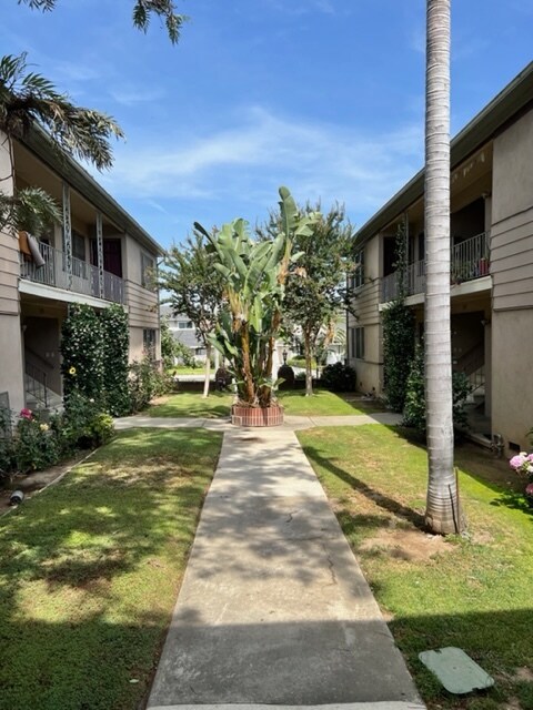 Building Photo - 117 N Atlantic Blvd