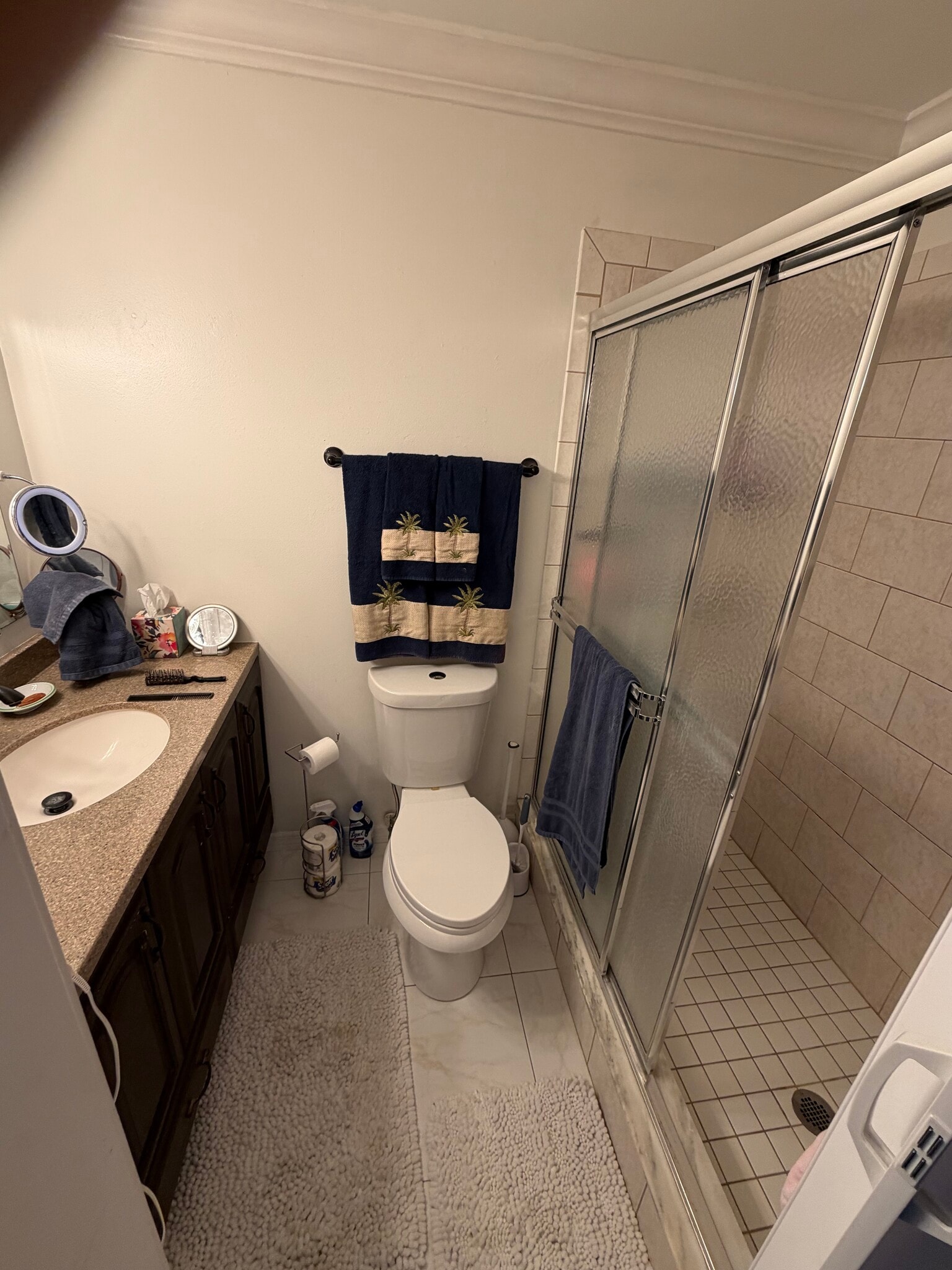 master bathroom - 1490 Memoli Ln