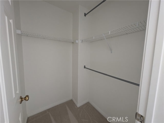 Building Photo - 2504 Rutland Pl