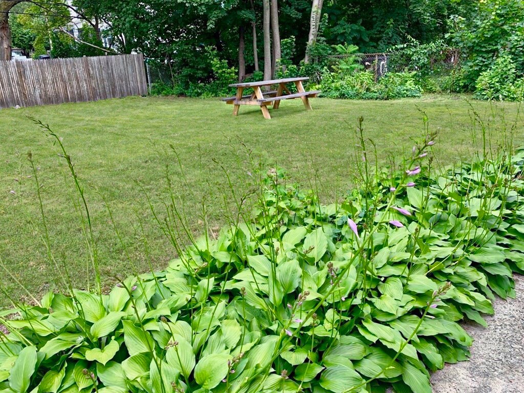 Building Photo - 8 Wyvern St