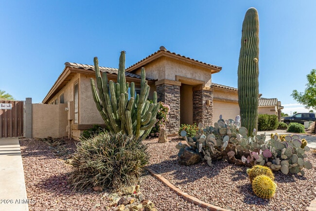 Building Photo - 202 E Rock Wren Dr