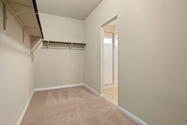 Building Photo - 1517 Maier Dr