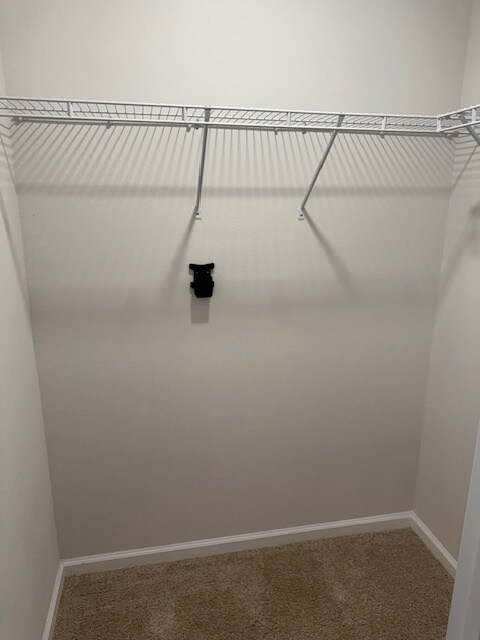 Building Photo - 3215 Josie St