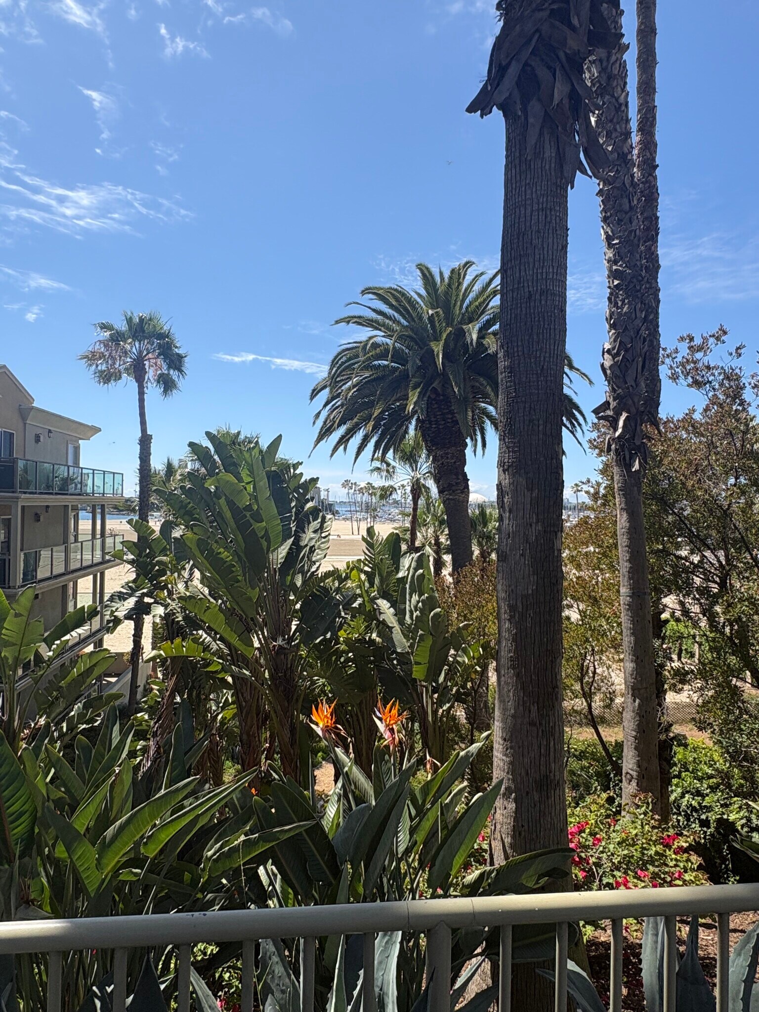 Building Photo - 933 E 1st St