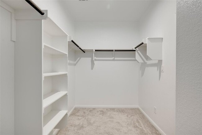 Building Photo - 4509 Lucabella Ln