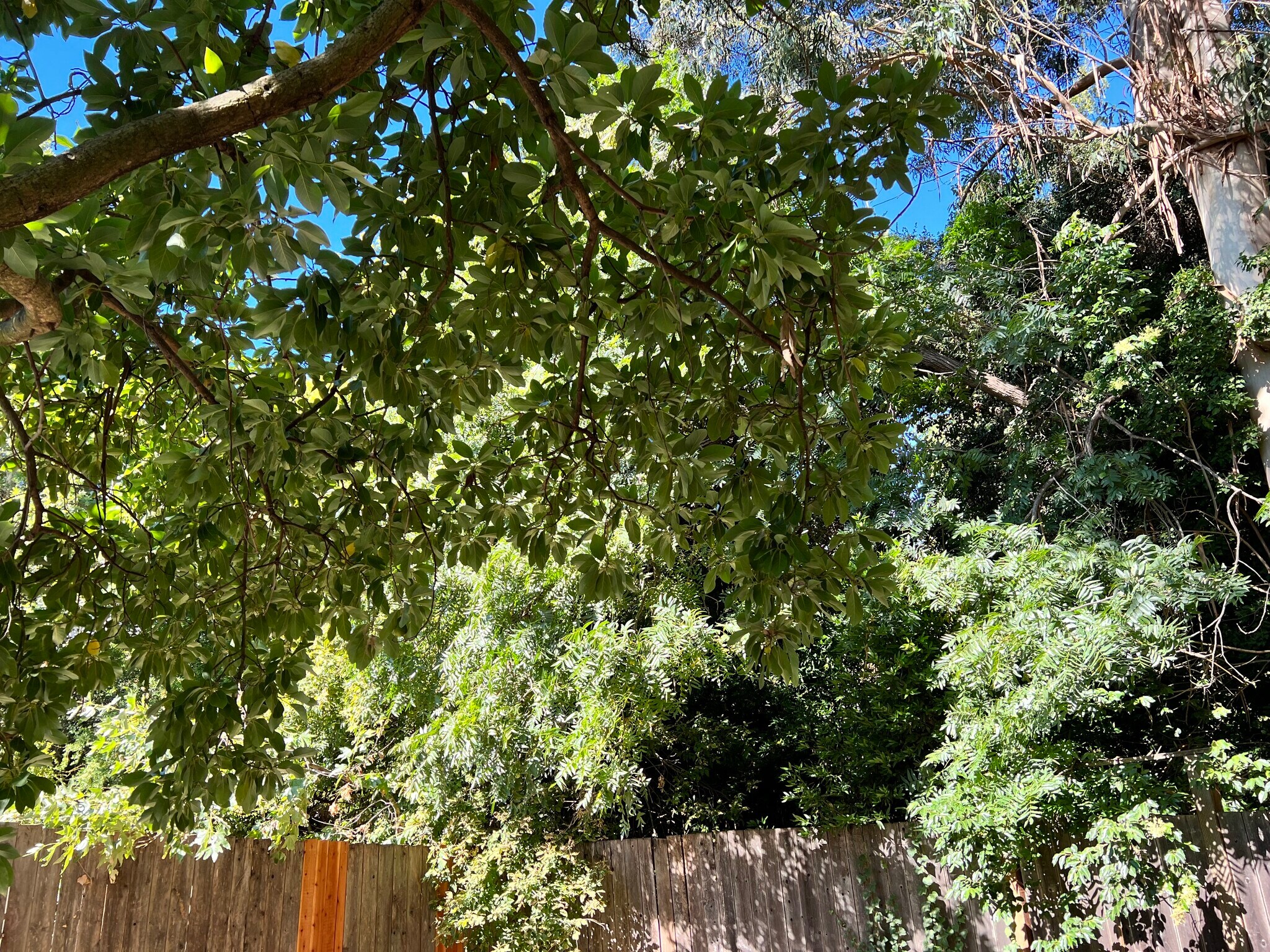 Building Photo - 5746 Robinhood Dr