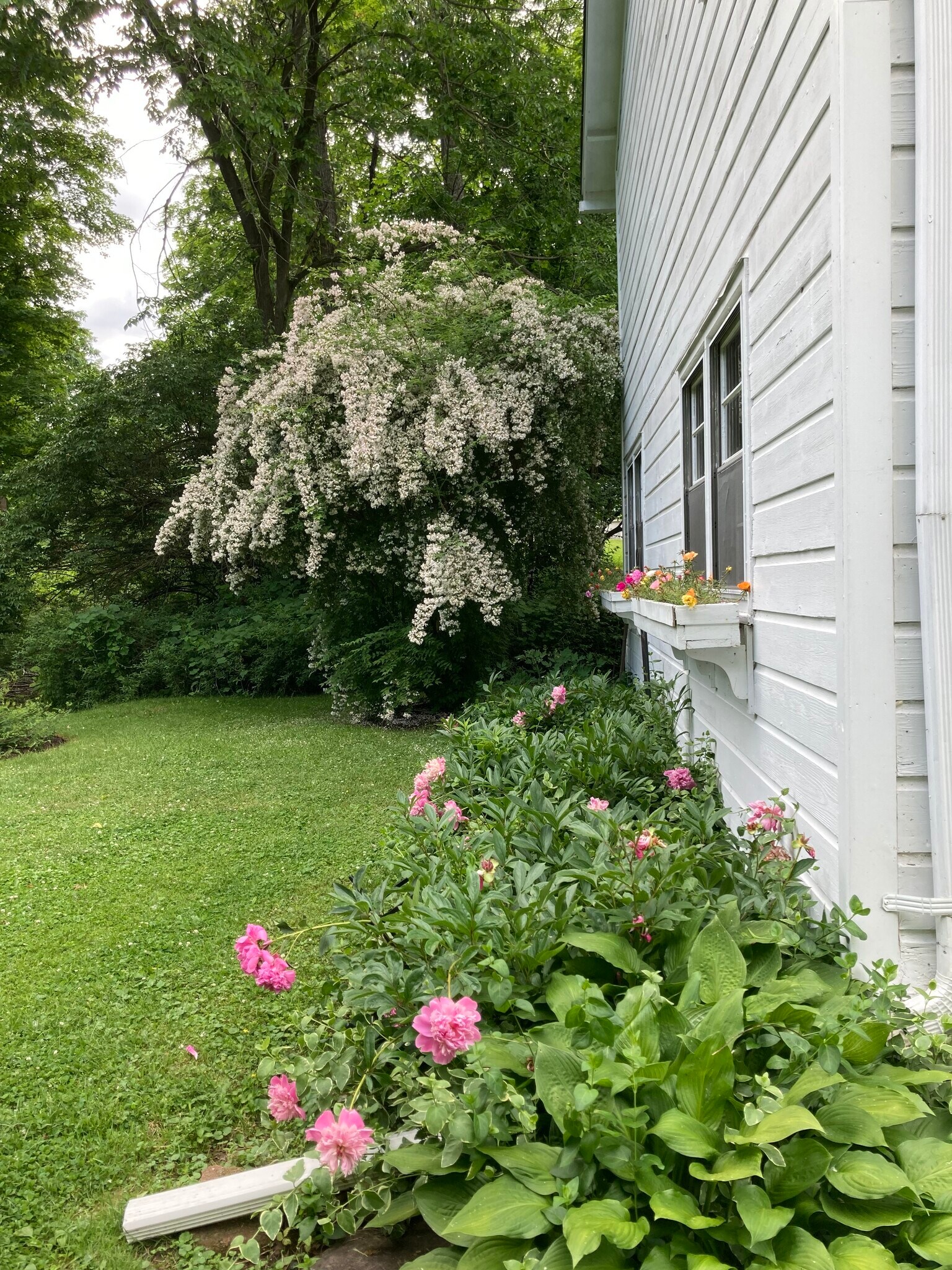 Building Photo - 75 Fostertown Rd