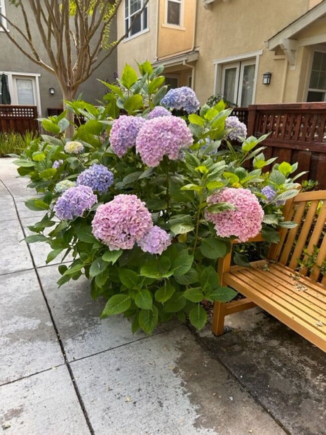 Building Photo - 6939 Santero Way