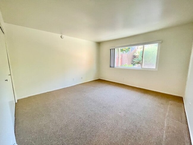 Building Photo - Bright single level 2 bed 1 bath Duplex