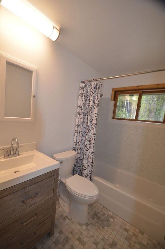 Building Photo - Mountain home tucked in the woods! 45 Minu...