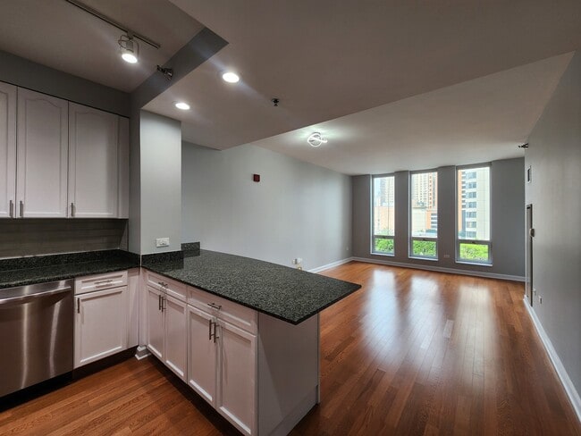 Building Photo - 1234/1250 S Michigan Ave