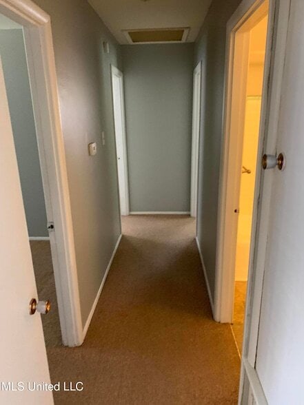 Building Photo - 2504 Middlecoff Dr