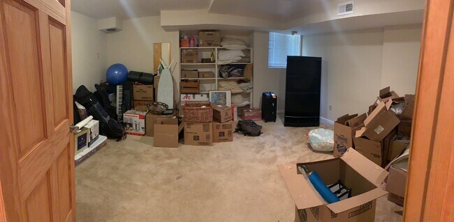 basement bedroom - 389 N St SW
