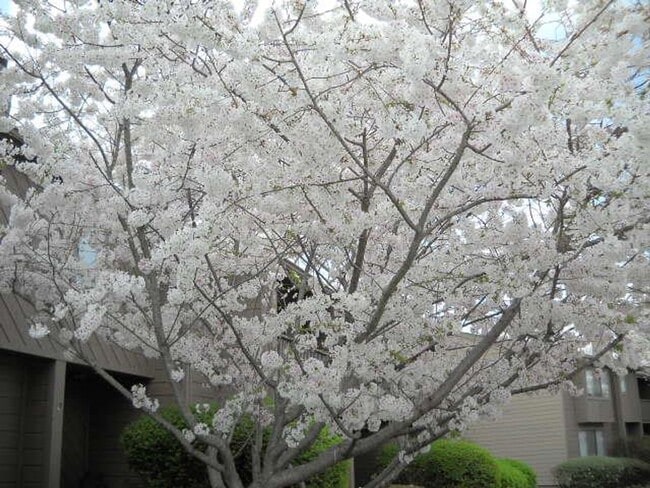 Building Photo - Tucked away in a quiet community with only one entrance and no through-traffic.