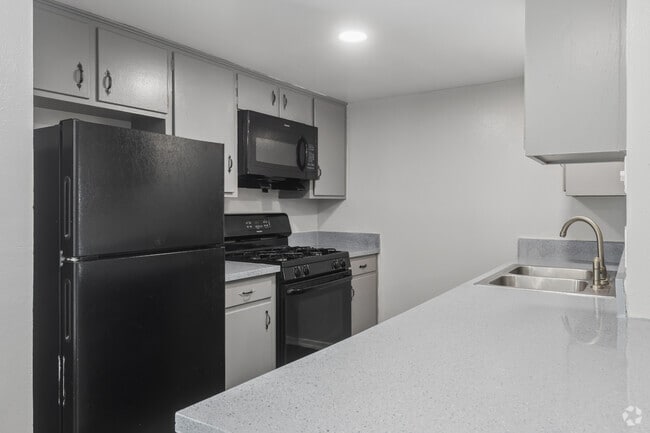 Interior Photo - The Vine RG LLC