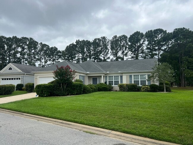 Building Photo - Beautifully Maintained Sun City Home!