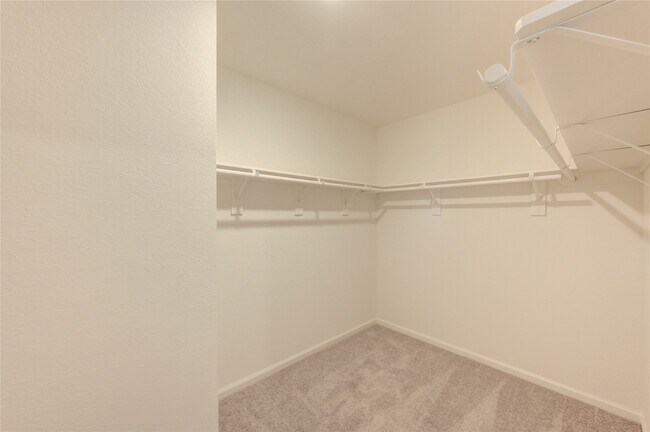 Building Photo - 10207 Purple Daphne Ln