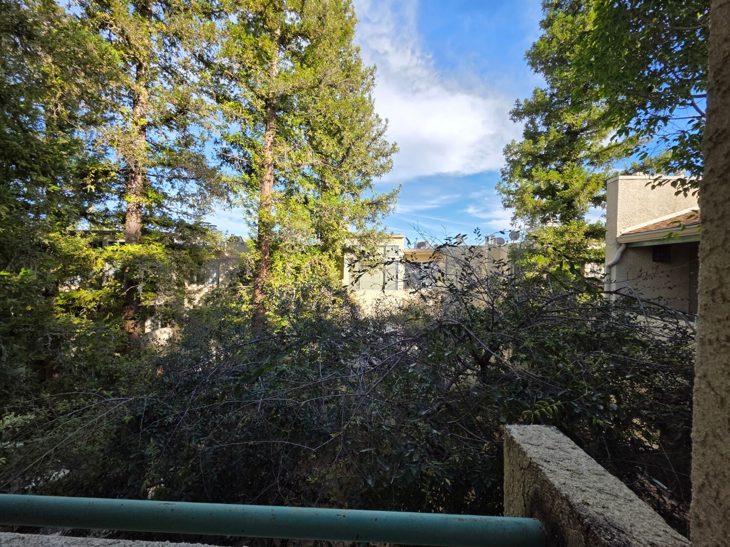 Building Photo - 7800 Topanga Canyon Blvd