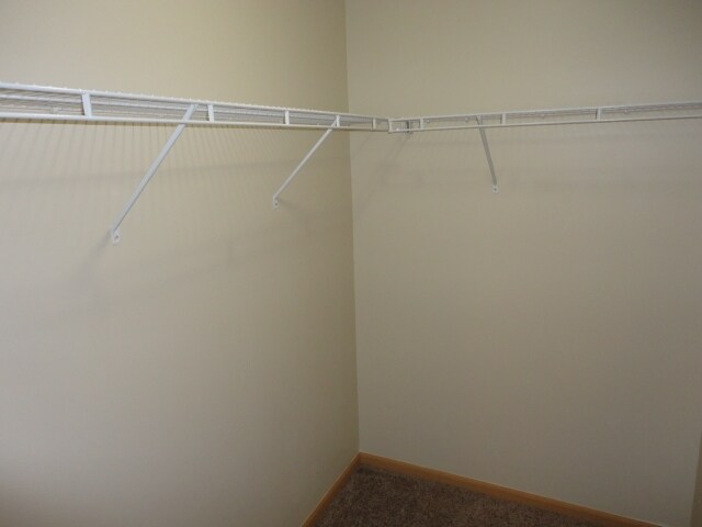 Building Photo - 1482 Sunflower Dr