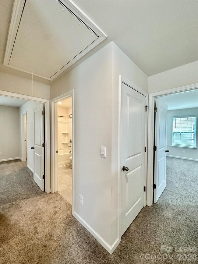 Building Photo - 1339 Mifflin Ln