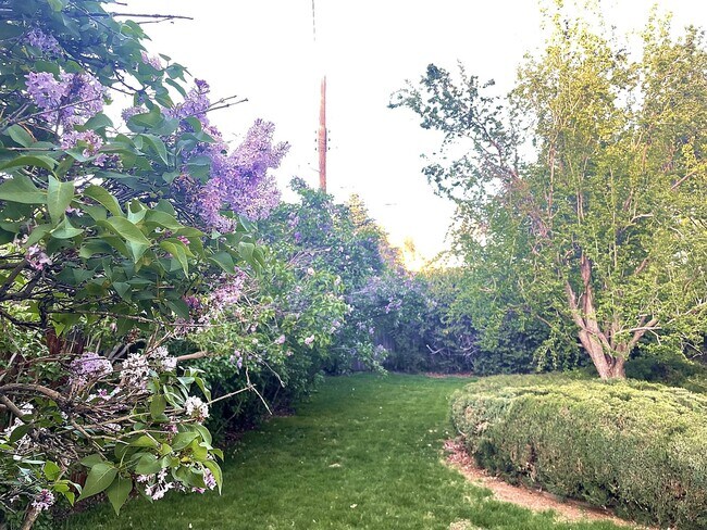 Building Photo - Beautiful Old Southwest Reno Home with Huge Private Yard
