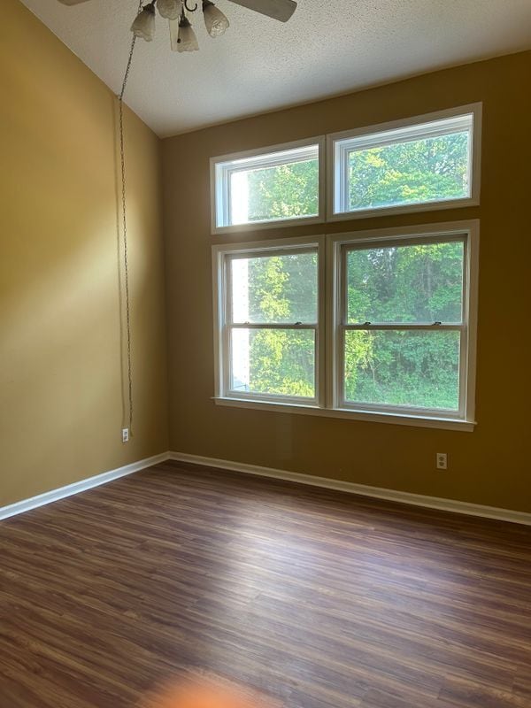 Building Photo - 5211 Birch Cir