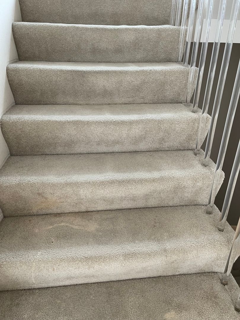 Building Photo - 1154 Bluebird Dr