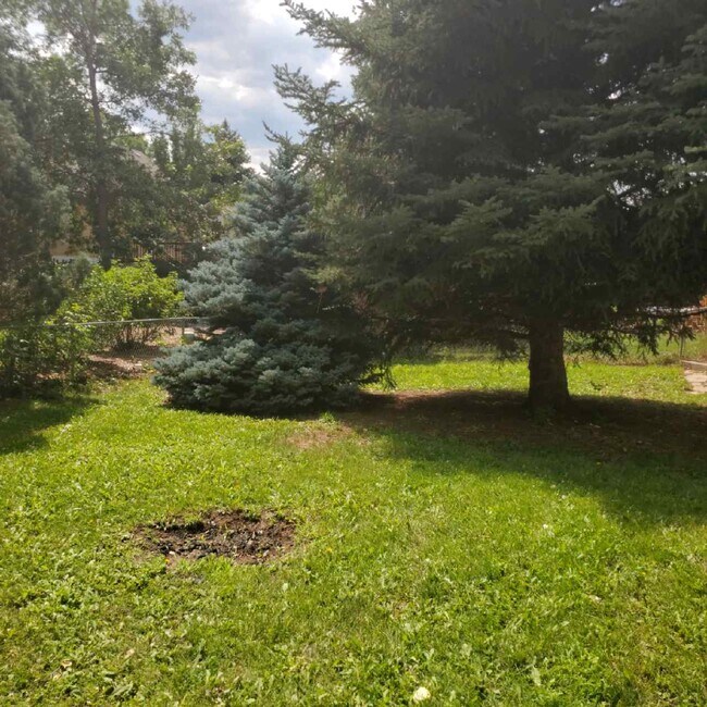 Building Photo - 1319 Glen Haven Dr