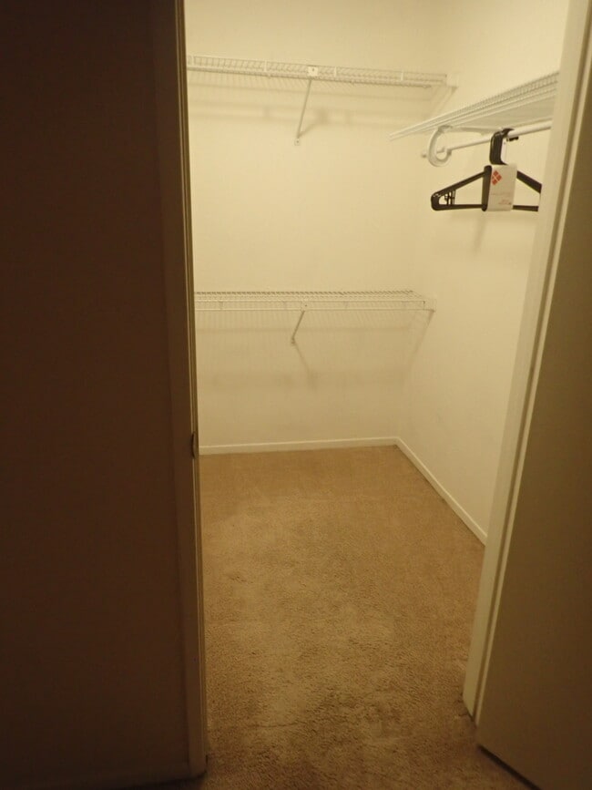 Bedroom Walk In closet - 18650 Caminito Cantilena