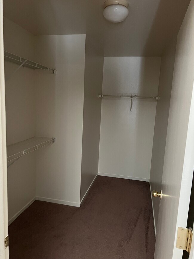 Building Photo - 1253 Lullabrooke Ct