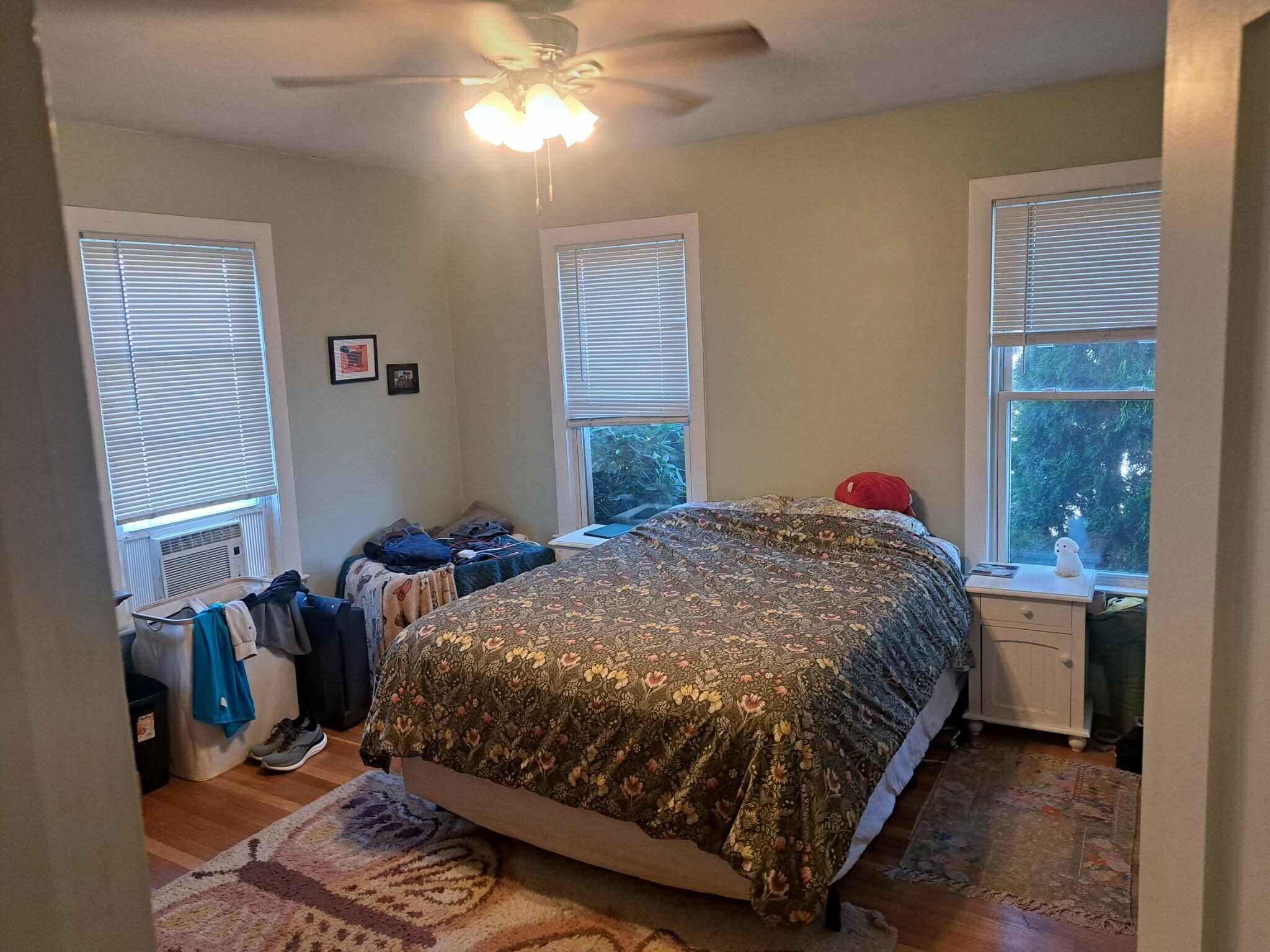 bedroom 1 - 377 Pearl St