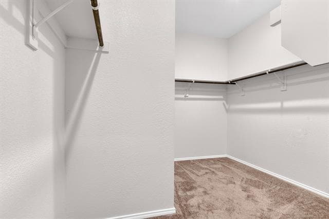 Building Photo - 813 Billups Dr