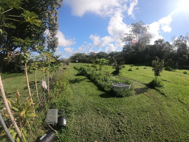 Building Photo - 995 Ainalako Rd