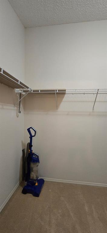 Building Photo - 3489 Cambria Cir