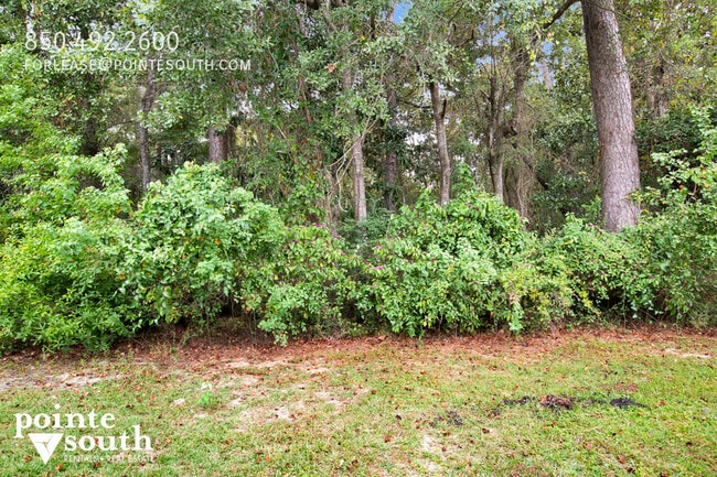 Building Photo - 6429 Schoel Ln