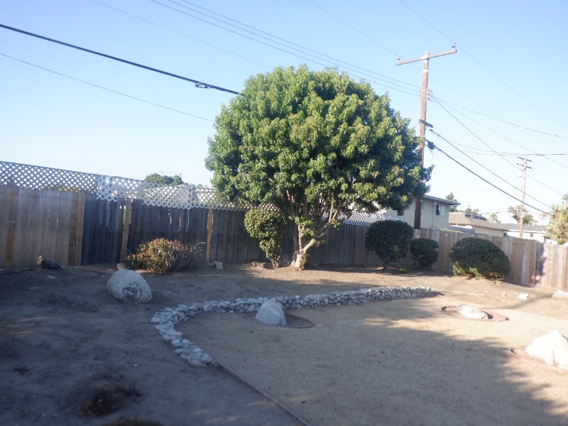 Building Photo - 8853 Stardust Ln