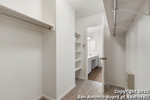 Building Photo - 11053 Cedar Park