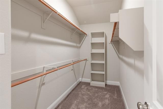 Building Photo - 913 Ponds Edge Ln