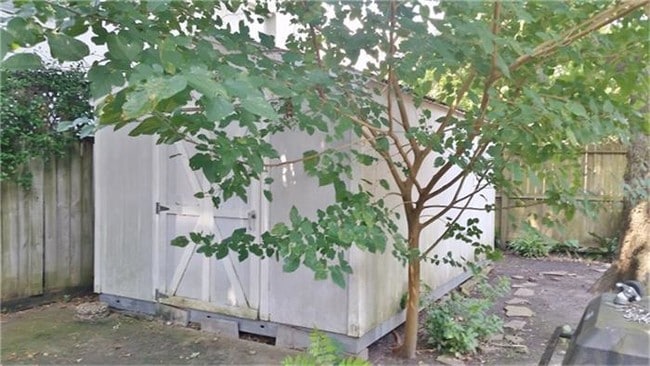 Building Photo - 3414 Yupon St