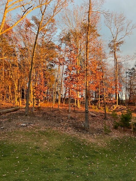 Building Photo - 42 Beech Tree Ln