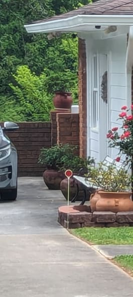 Building Photo - 950 Ellis Rd