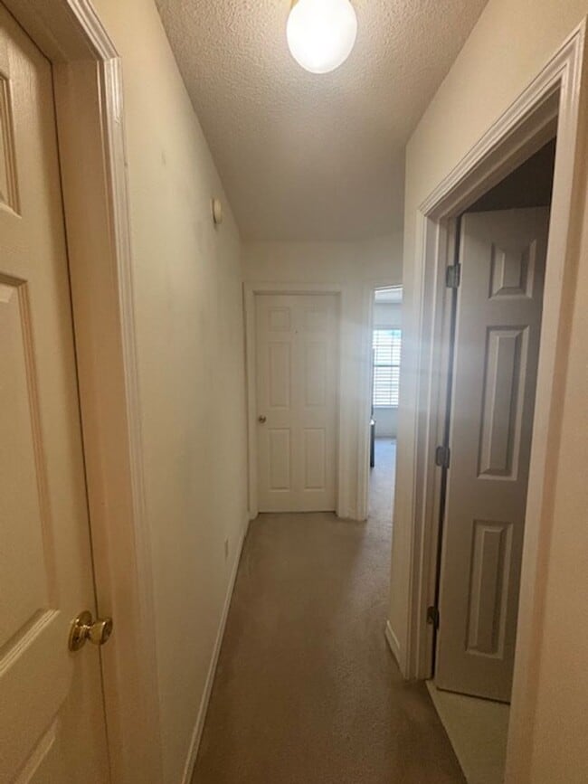 Building Photo - 37 3rd St