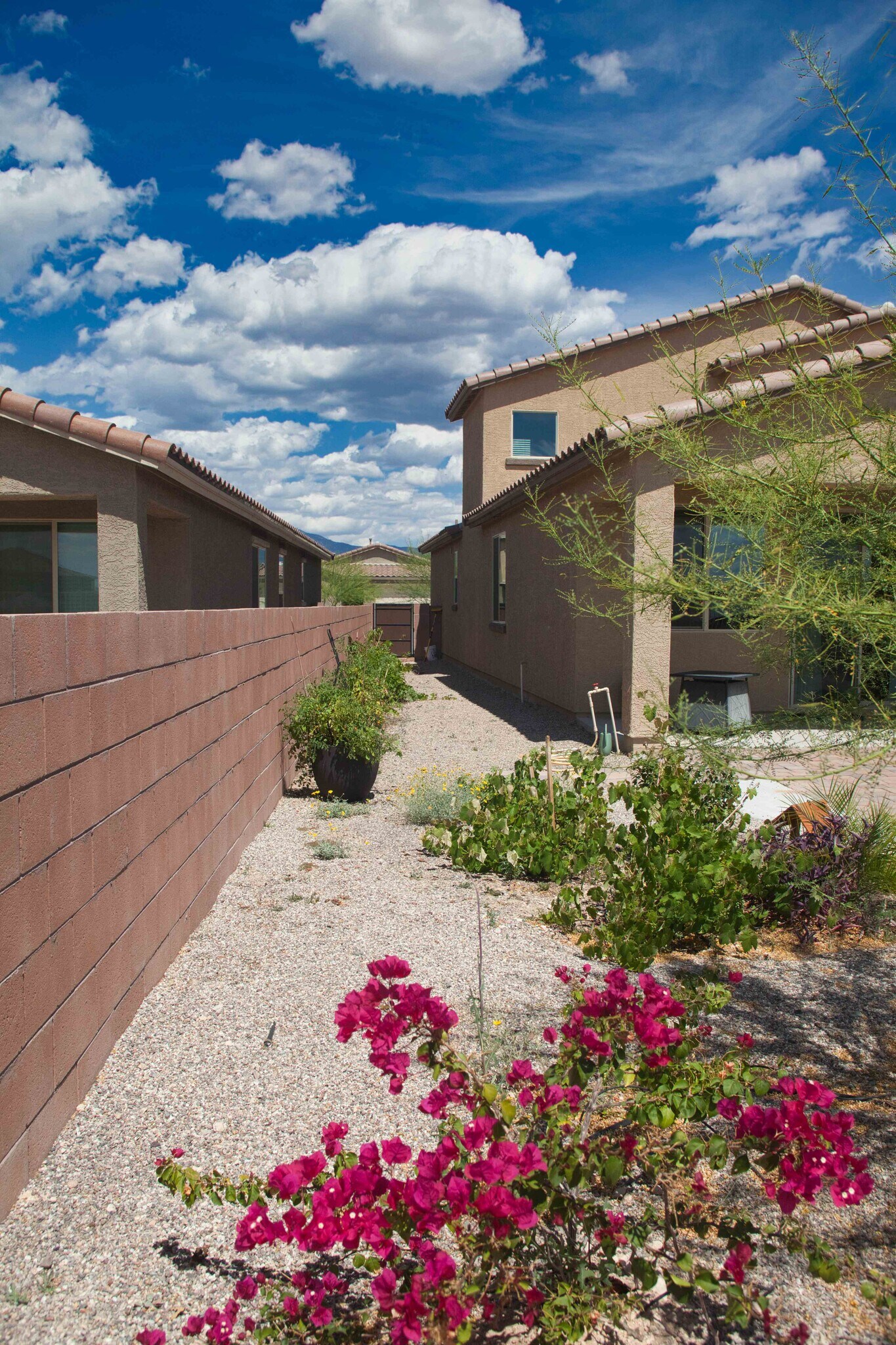 Building Photo - 7856 S Bonanza Park Dr