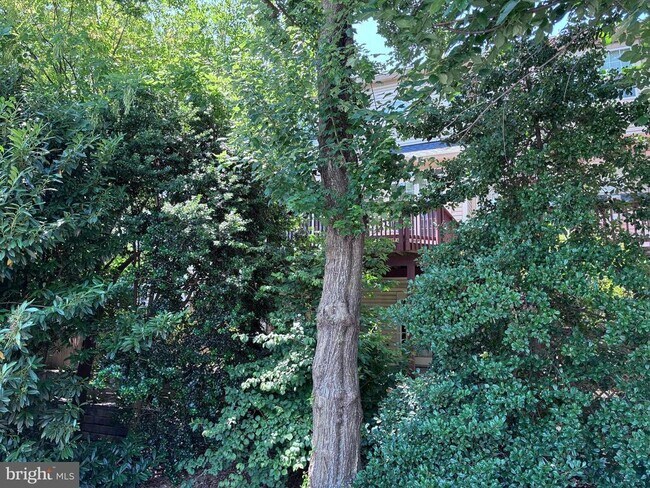 Building Photo - 214 Halpine Walk Ct