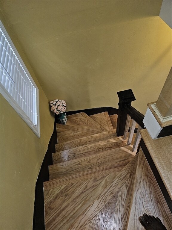 Building Photo - 5 Scrimgeour Rd