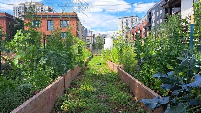 Building Photo - 612