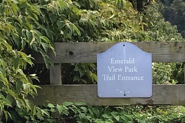 Building Photo - 541 Sweetbriar St